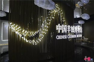 设计 洞见未来 第26届中国 清河国际羊绒及绒毛制品交易会开幕