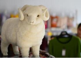 冬季羊绒貂绒价格 冬季羊绒貂绒批发 冬季羊绒貂绒厂家 